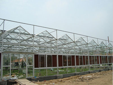 蔬菜花卉种植 玻璃温室大棚 现代农业大棚 智能温室大棚 蔬菜温室大棚 智能玻璃温室4