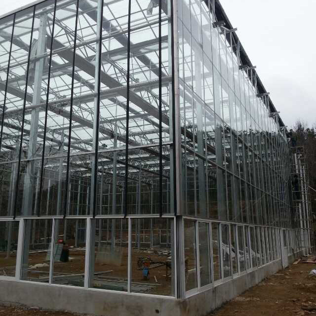 智能温室温室大棚 智能玻璃温室 玻璃大棚 温室大棚 钢化玻璃大棚3