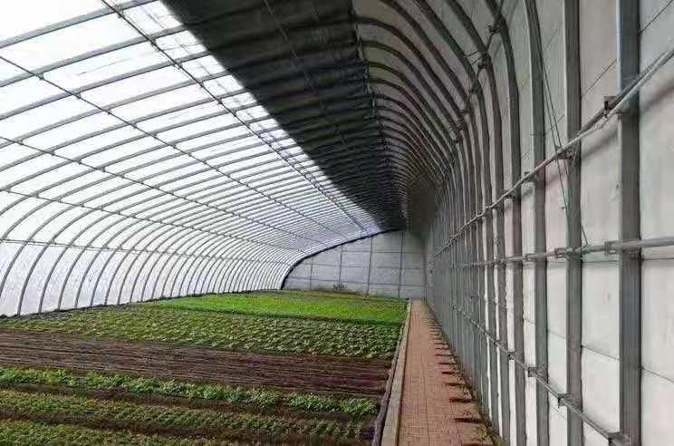 玻璃温室大棚造价厂家直销 中鑫蔬菜花卉种植大棚温室大棚安装4