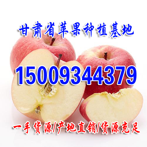 苹果产地直销新鲜水果苹果脆甜多汁欢迎客商前来实地考查商淡价格优惠 庆阳红富士4