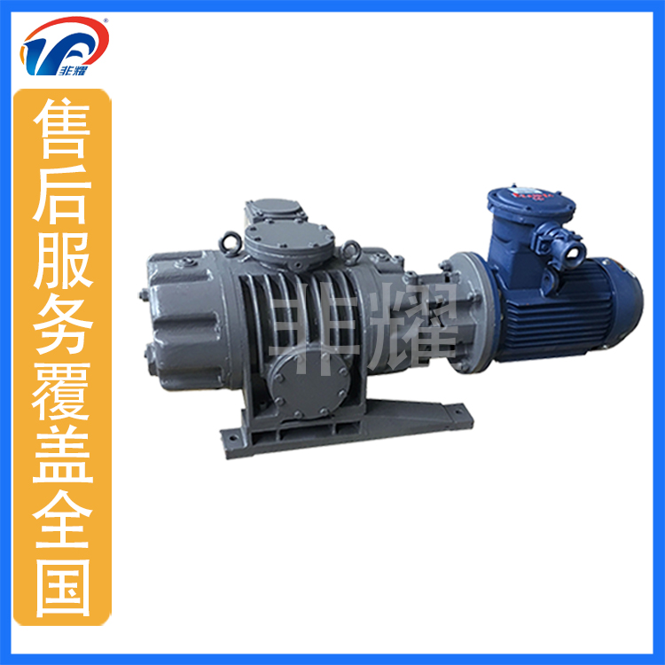 非耀 食品包装厂用真空泵 ZJP300 南京 真空泵厂家直销 多级罗茨真空泵3