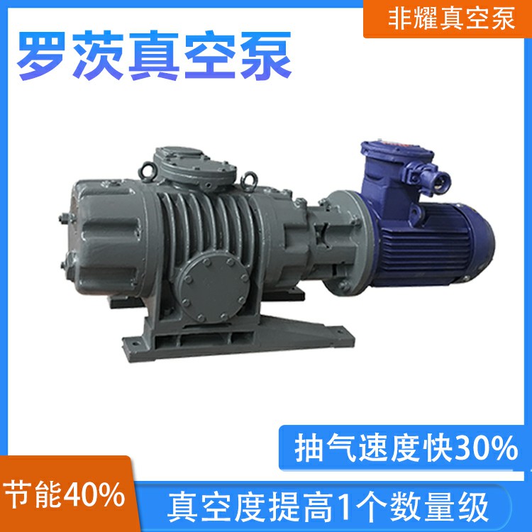 厂家直销非耀 ZJP罗茨真空泵 多级罗茨真空泵 真空度高节能40%3