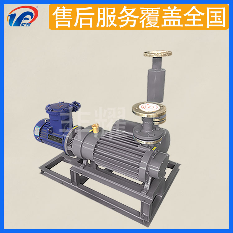 上海 型号齐全厂家直销 耐酸碱螺杆真空泵 LGB150 溶剂回收用螺杆泵 非耀3