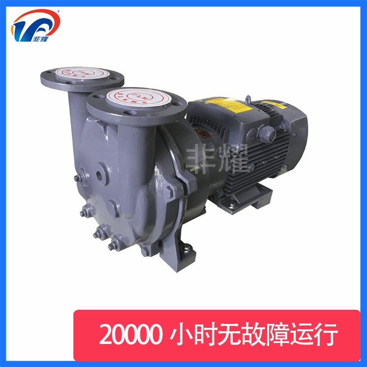 耐腐蚀液环真空泵 2BV5161 杭州 厂家直销 非耀 废水处理用水环泵3