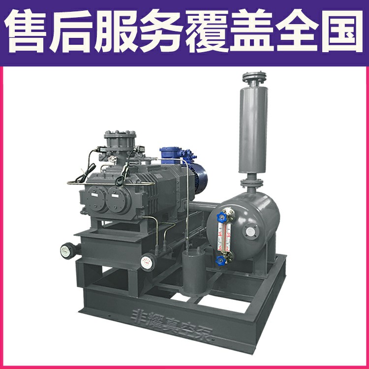 杭州 耐酸碱螺杆真空泵 电子行业用螺杆泵 厂家直销 非耀 型号齐全材质可选 LGB1203