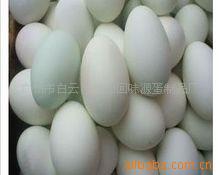 提供优质咸鸭蛋批发价及产品详情3