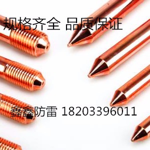 其他防雷电设备 铜包钢绞线16-400鑫鑫防雷各种规格厂家直销1