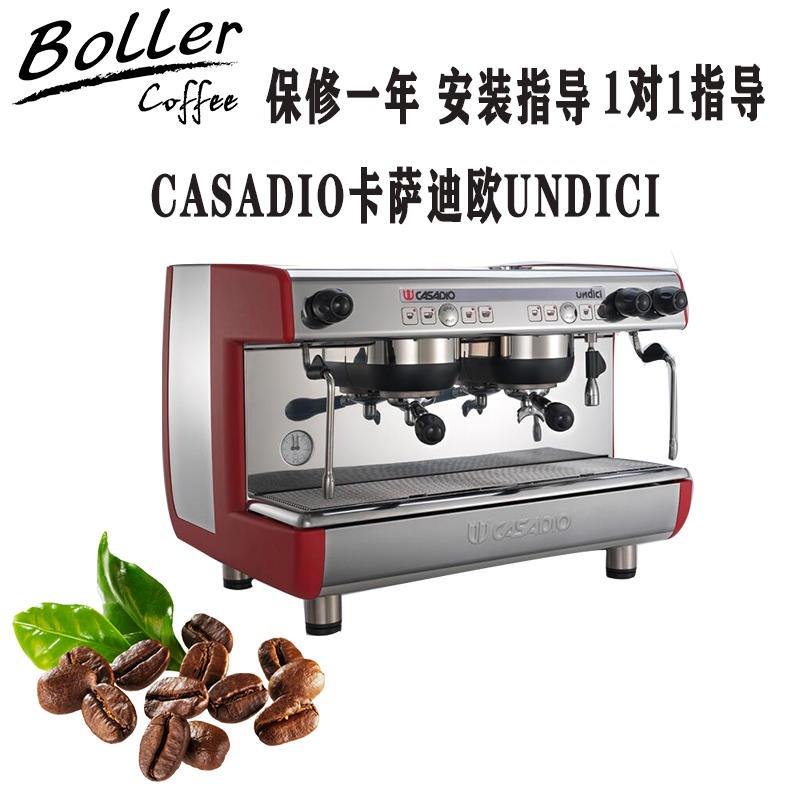A2双头电控商用半自动咖啡机 DIECI 进口CASADIO卡萨迪欧10