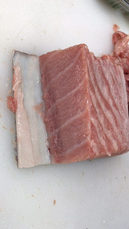 金枪鱼 上海率然商贸-冰鲜蓝鳍金枪鱼 对马金品质蓝鳍金枪鱼1