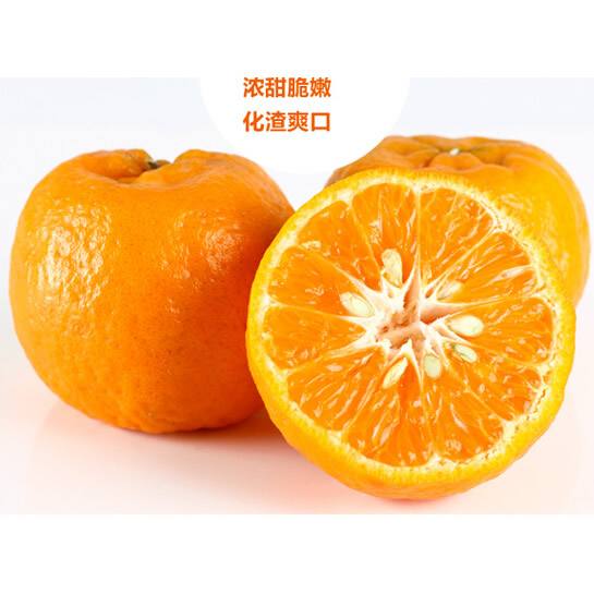 产地直供 【屏山农特产】屏山富硒塔罗科血橙出售 其他浆果类水果