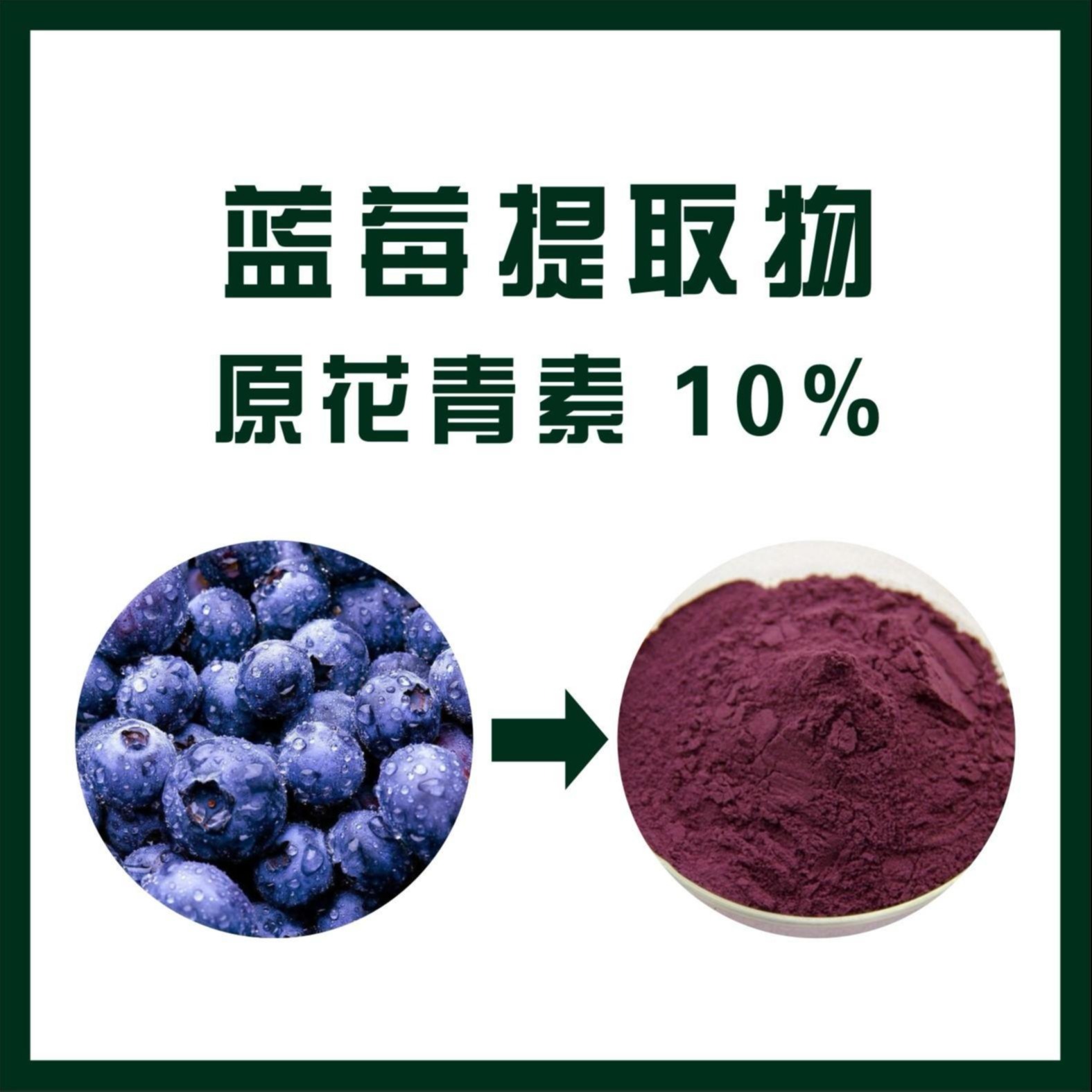 厂家植提 现货包邮 原花青素10% 蓝莓提取物 植物提取物5