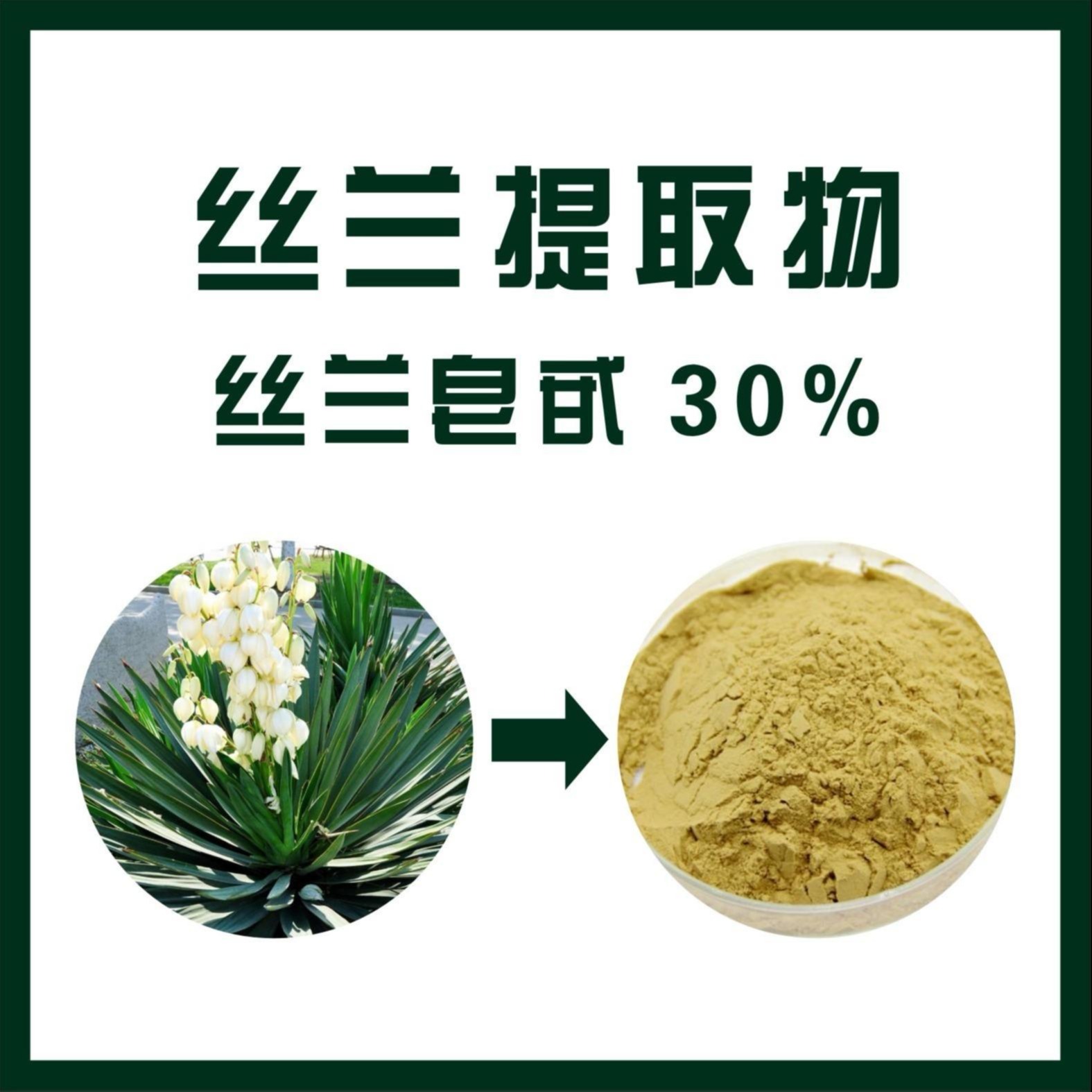 植物提取物 30% 提取物 丝兰皂甙 丝兰提取物 天域生物