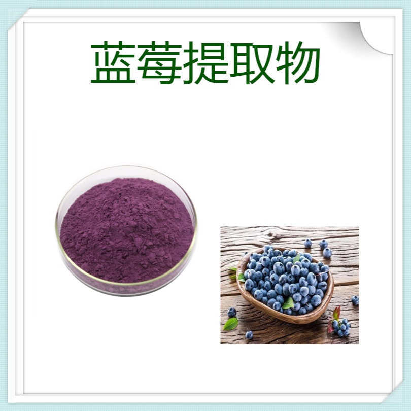 速溶粉 植物提取物 药食同源原料 蓝莓取物10:1