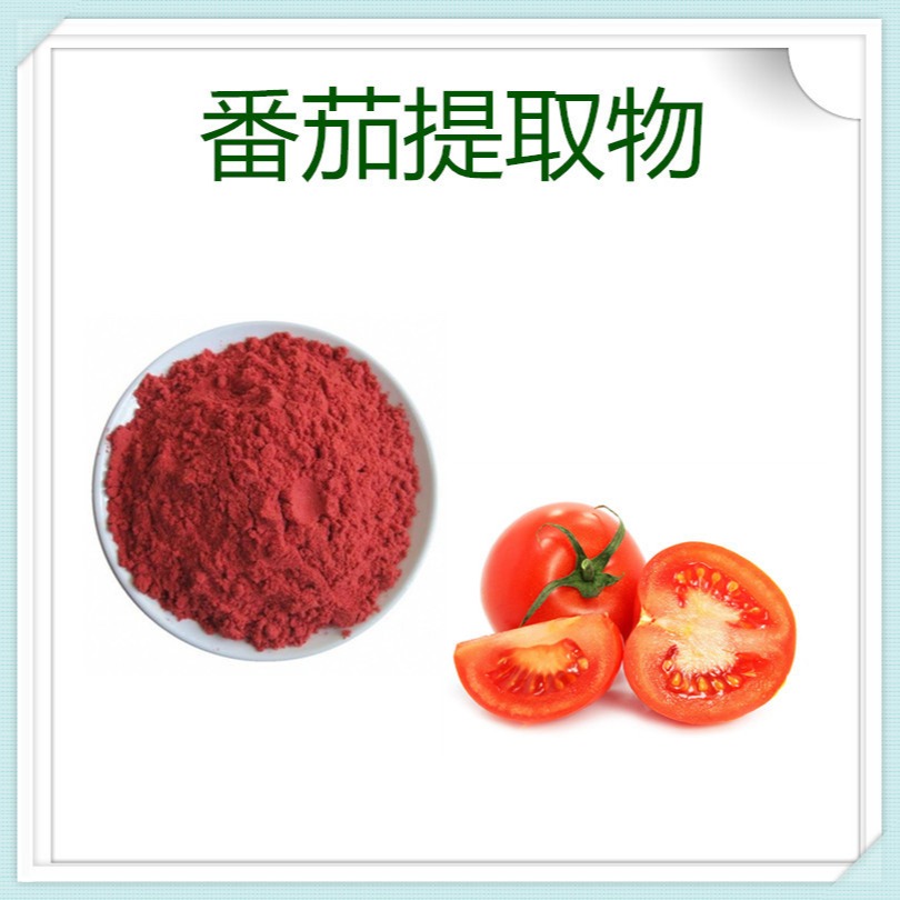 膳食纤维 植物提取物 药食同源原料 速溶粉 番茄提取物10:1