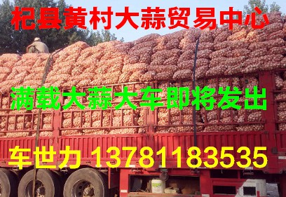 拔米蒜 河南杞县黄村大蒜贸易中心大量供应印尼蒜