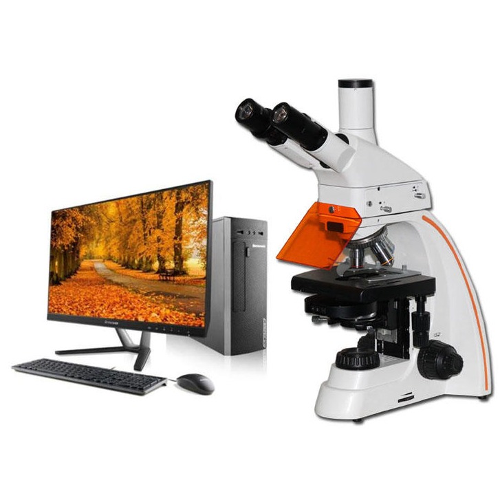 星明光学XMY-36正置荧光显微镜 测量和图像处理 可拍照 LED数码荧光显微镜高清成像系统 录像 LED四色激发光