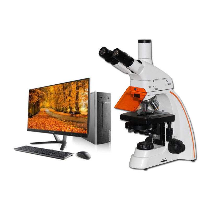 星明光学XMY-36正置荧光显微镜 测量和图像处理 可拍照 LED数码荧光显微镜高清成像系统 录像 LED四色激发光2