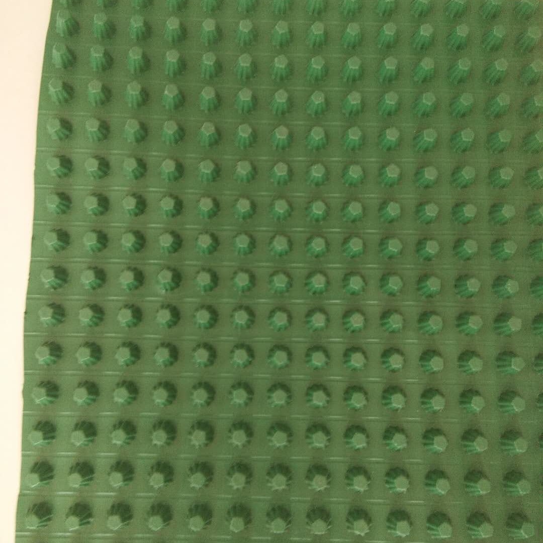 蓄排水板 植草格生产厂家 土工布 融创新材料排水板 土工膜8