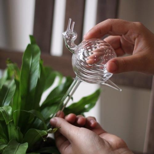 玻璃工艺品 全新创意 懒人蜗牛玻璃自动浇花器 懒人浇花