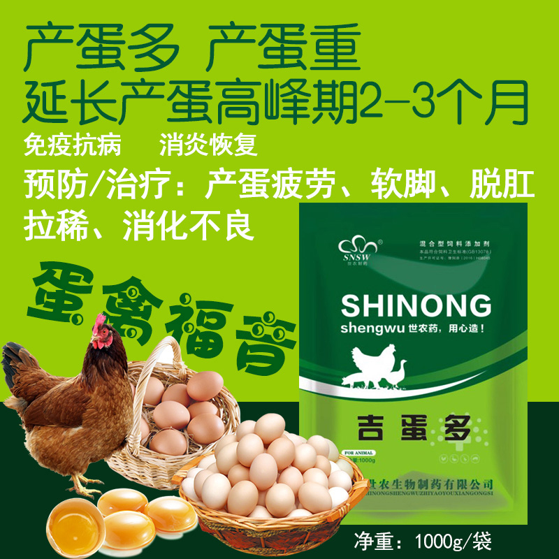 增蛋产蛋禽饲料添加剂 吉蛋多 蛋禽增蛋 世农生物 药物性添加剂 厂家1