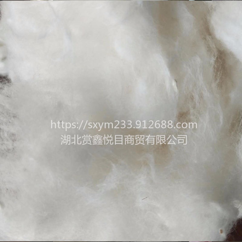 羽丝棉做棉被用色白无杂纤维长空调被学生被民用被 棉花