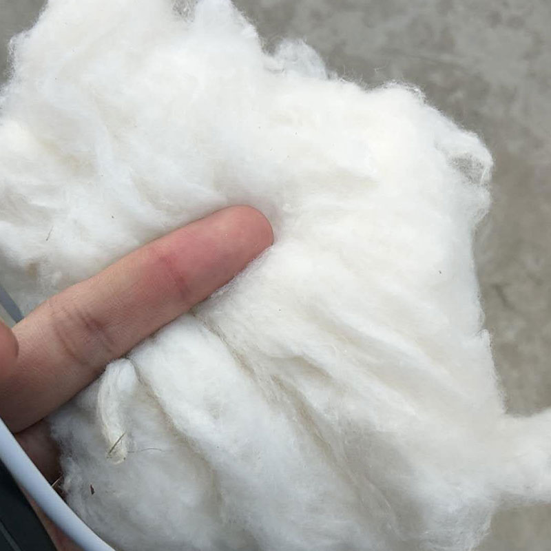 羽丝棉做棉被用色白无杂纤维长空调被学生被民用被 棉花5