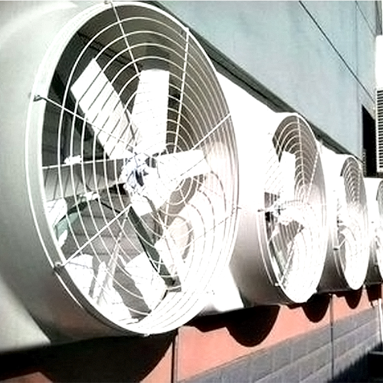 华利HL 冷风机设备 鼓风机 玻璃钢风机 大棚用低噪音鼓风机1