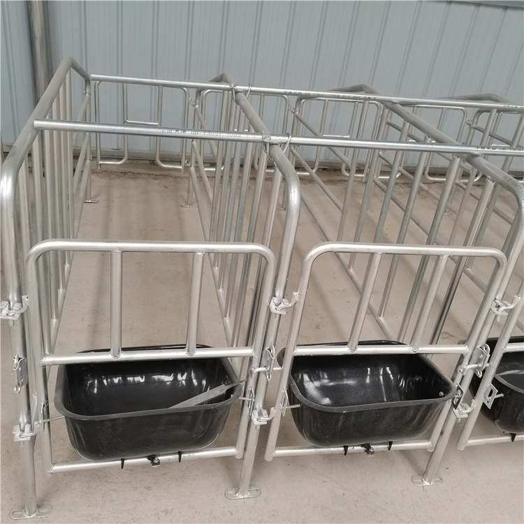 猪用配怀栏 养殖场猪用定位栏生产厂家 母猪限位栏 养殖设备3