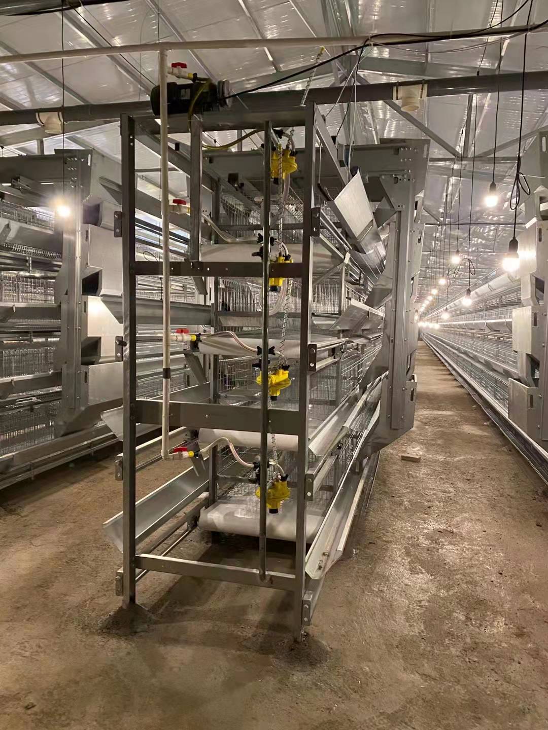 层叠式热镀锌蛋鸡笼设备 阶梯育雏笼价格 信必达 养殖设备鸡笼式1
