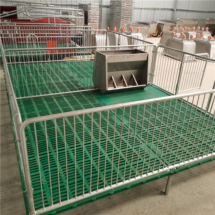 仔猪保育床 养殖设备 养殖场猪用保育床图片 小猪双体保育床4