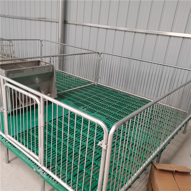 仔猪保育床 养殖设备 养殖场猪用保育床图片 小猪双体保育床2