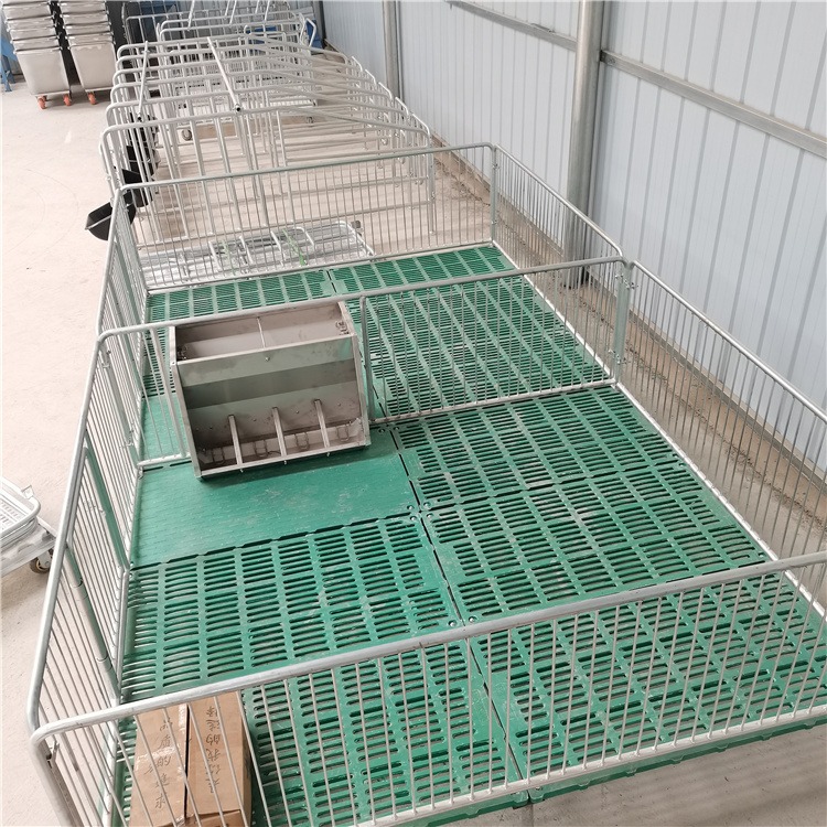 仔猪保育床 养殖设备 养殖场猪用保育床图片 小猪双体保育床