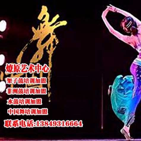 清丰中国舞培训学校加盟 管理培训3