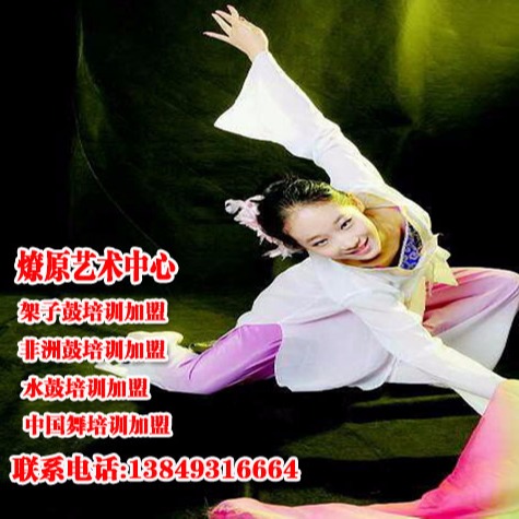 清丰中国舞培训加盟中国舞培训学校加盟费 管理培训2