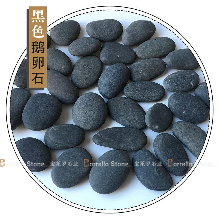 黑色鹅卵石 -宝莱罗石业 鹅卵石 中国黑鹅卵石 机制鹅卵石2