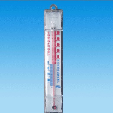 冰箱室内两用温度计 红星仪器仪表 220型室内专用温度计1