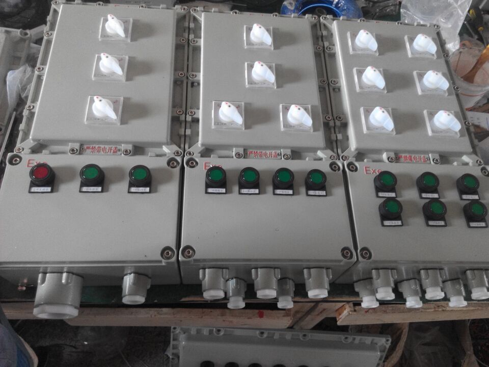 防爆照明动力配电箱EXdeIICT4 BXMD53-4K防爆照明动力配电箱（IIC）4