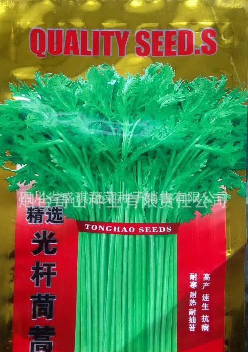 春秋型绿圆霸菠菜种子 绿霸王杂交一代菠菜种子 优质菠菜种子2