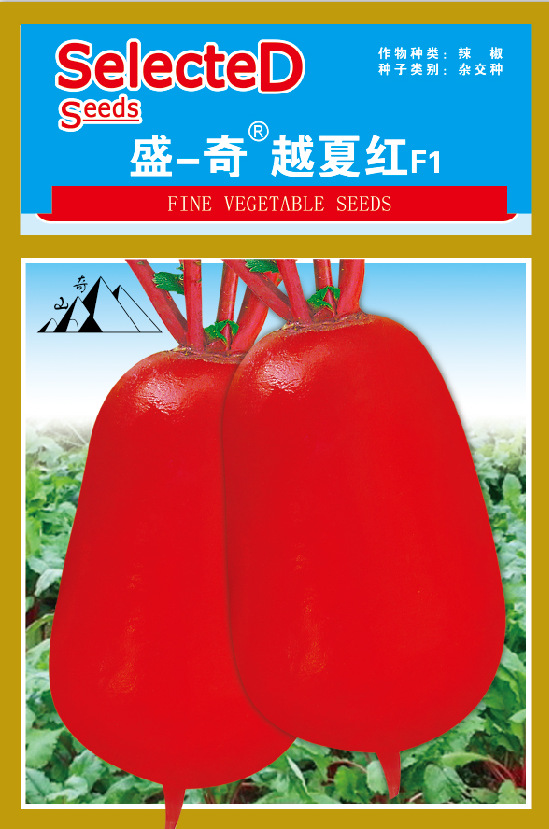 萝卜种子厂家批发 蔬菜种子、种苗 耐热白萝卜种子 板叶萝卜种子3