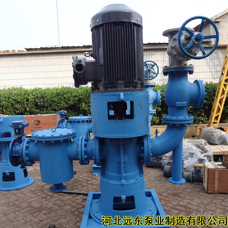 重废油泵-泊远东 双螺杆泵 用于多家油田 W4.1ZK58M1Z1W73 油气混输泵用双螺杆泵4