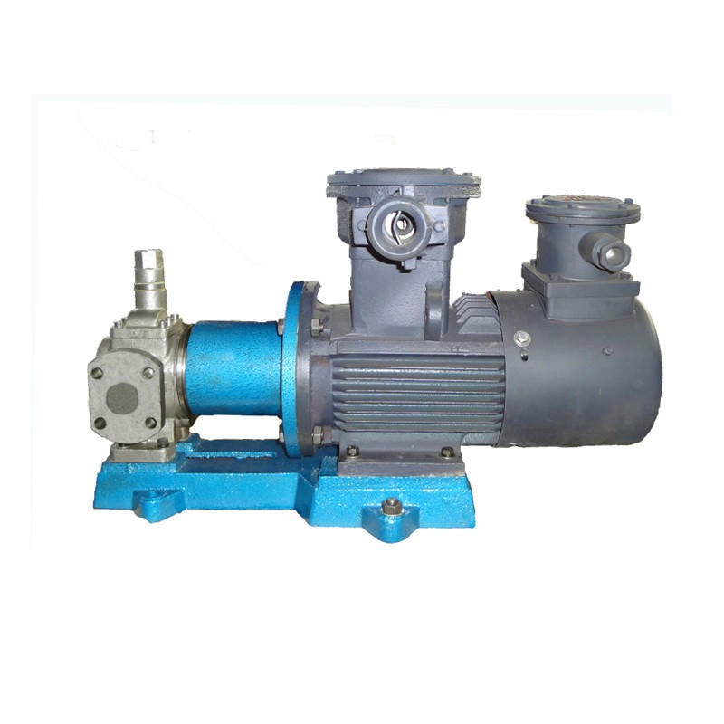 不锈钢磁力泵 转子泵 YCB-0.6不锈钢圆弧磁力泵 厂家直销1