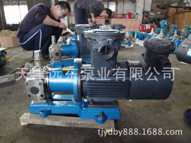 不锈钢磁力泵 转子泵 YCB-0.6不锈钢圆弧磁力泵 厂家直销4