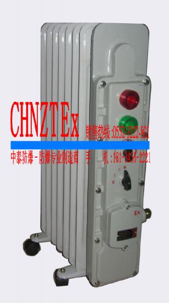 防爆电加热器 低压控制器1