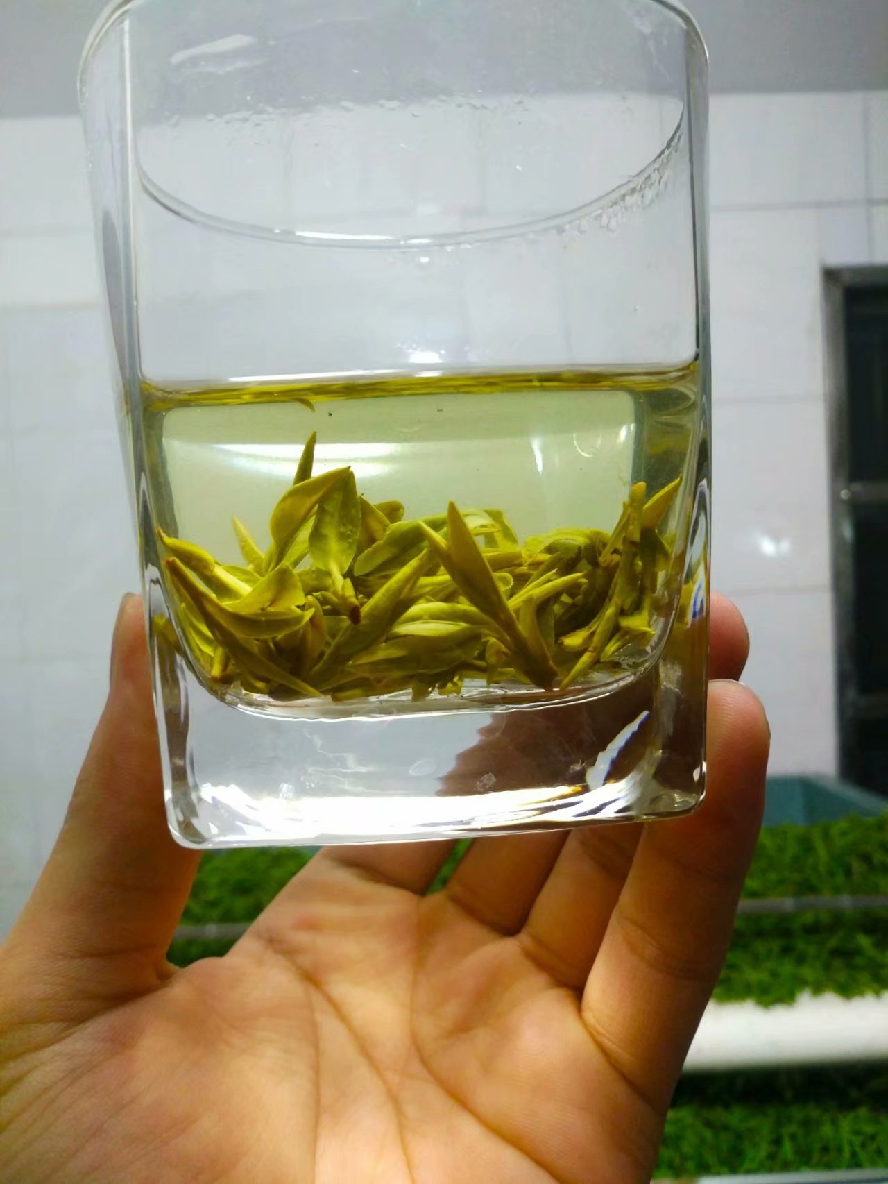 散装 绿茶茶叶500g批发 2021年明前特级 龙井新茶 豆香型 西湖龙井3