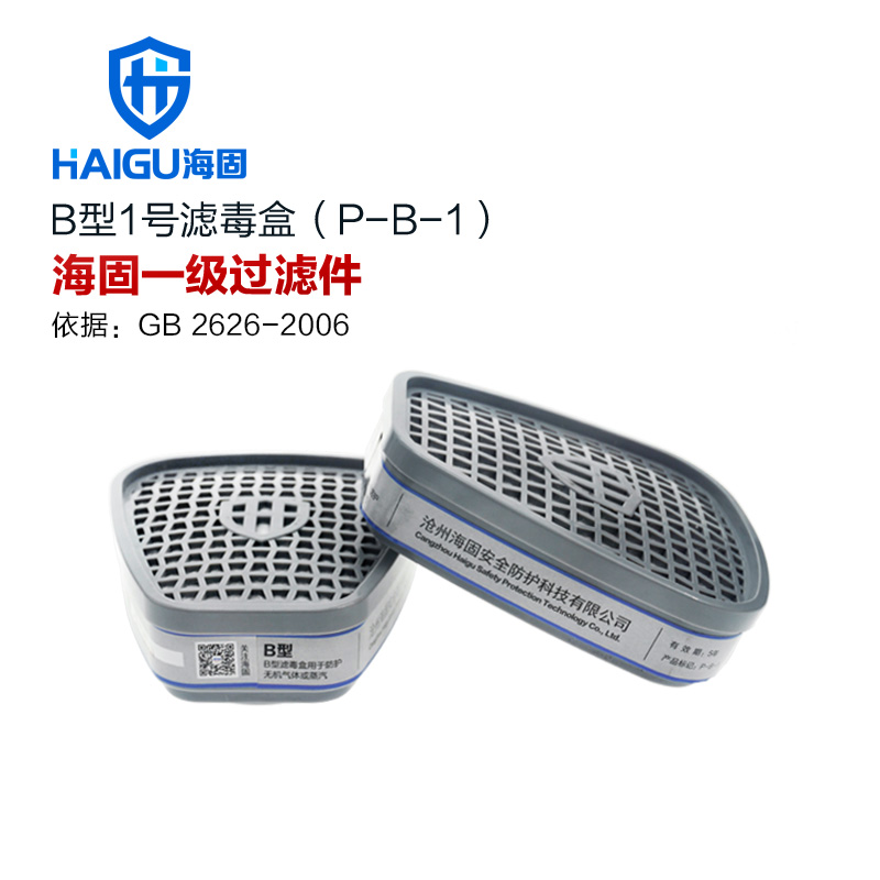 P-A H2S-1防毒气 防尘滤毒盒 Hg 防毒面具1