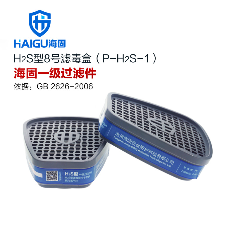 P-A H2S-1防毒气 防尘滤毒盒 Hg 防毒面具6