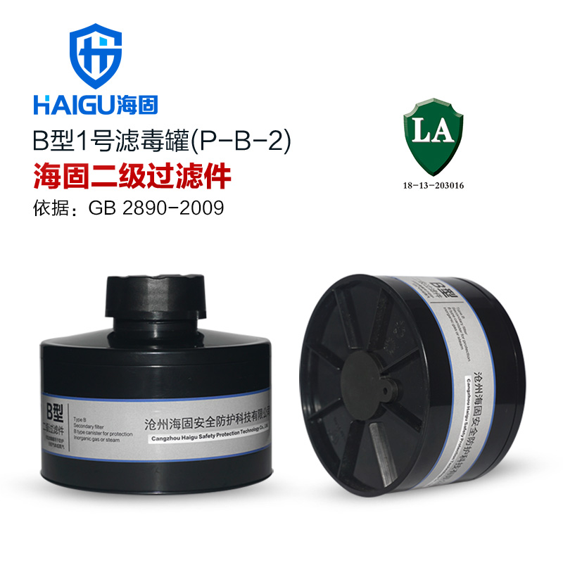 防毒面具 H2S P-A Hg-2 CO 二级滤毒罐集合 6