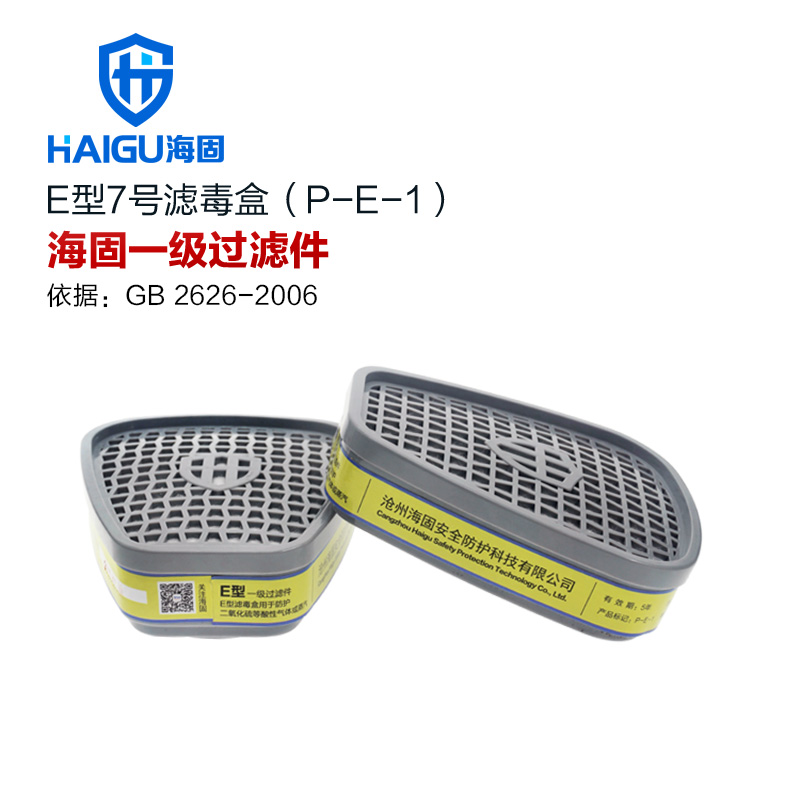P-A H2S-1防毒气 防尘滤毒盒 Hg 防毒面具5