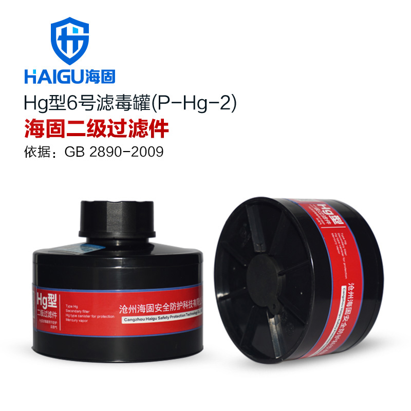 防毒面具 H2S P-A Hg-2 CO 二级滤毒罐集合 2