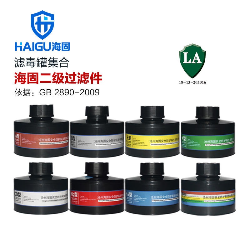 防毒面具 H2S P-A Hg-2 CO 二级滤毒罐集合 7